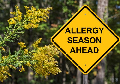 How to Fight Seasonal Allergies