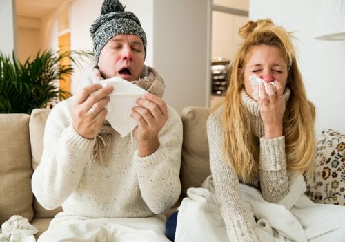 How to Strengthen Your Immune System This Season