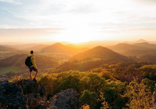 Movement for Movement