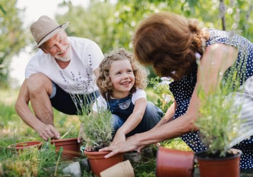 How to escape the overflow of toxins in your life!