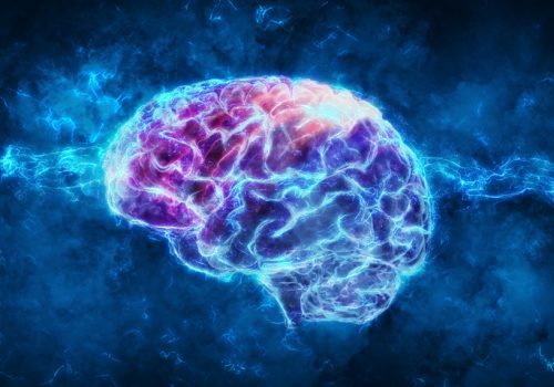 What you need to know about Neuroplasticity